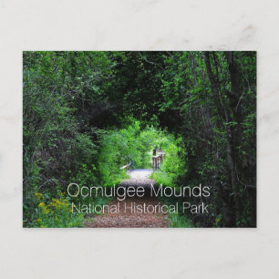 Opelofa Trail, Ocmulgee Mounds, GA Vykort