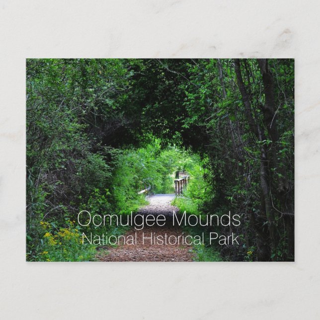 Opelofa Trail, Ocmulgee Mounds, GA Vykort (Framsida)