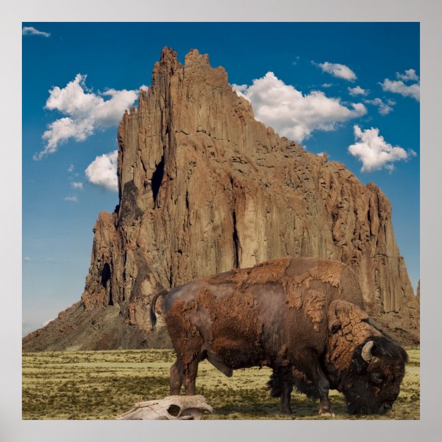 Open Country Poster (Framsidan)