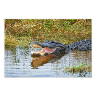 Open Mouth Fototryck