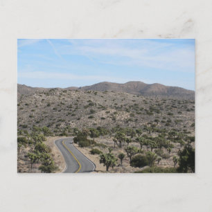Open Road - Joshua Träd Vykort