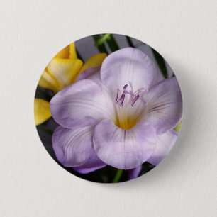 Open violet Fresia Knapp