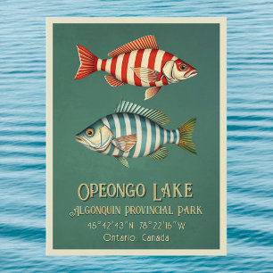 Opeongo Lake Ontario Kanada fisk vykort