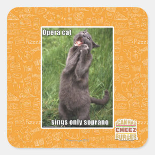 Opera Cat Fyrkantigt Klistermärke