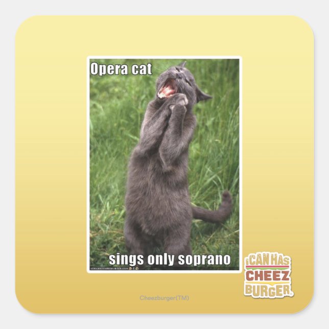 Opera Cat Fyrkantigt Klistermärke (Framsida)