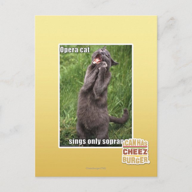 Opera Cat Vykort (Framsida)