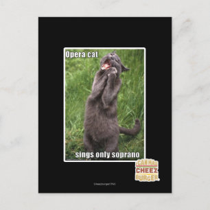 Opera Cat Vykort