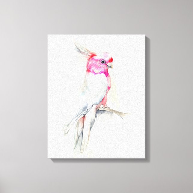 Opera Cockatoo Canvastryck (Framsida)