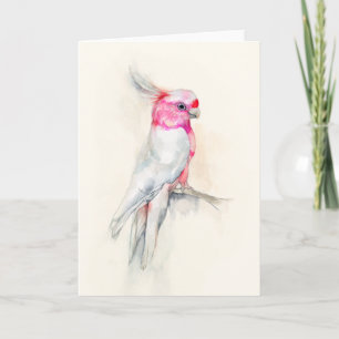 Opera Cockatoo Kort