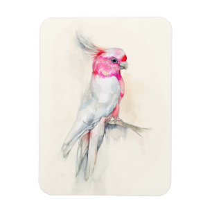 Opera Cockatoo Magnet