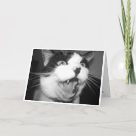 Opera Kattunge födelsedagskort Kort