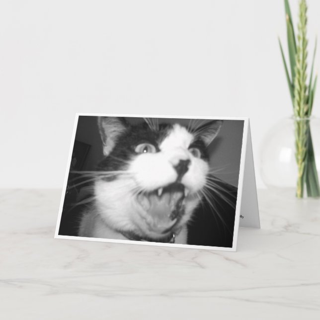 Opera Kattunge födelsedagskort Kort (Framsida)