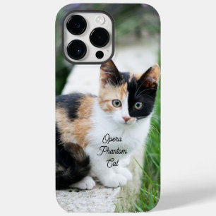 Opera Phantom Cat