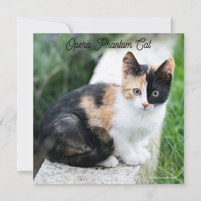 Opera Phantom Cat (Framsida)