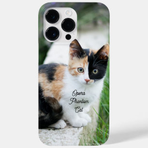 Opera Phantom Cat