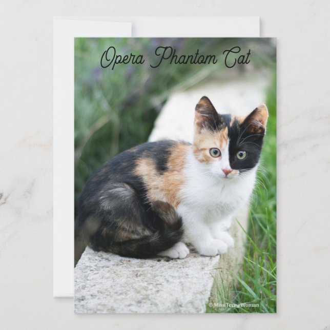 Opera Phantom Cat (Framsida)