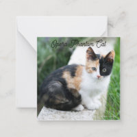 Opera Phantom Cat