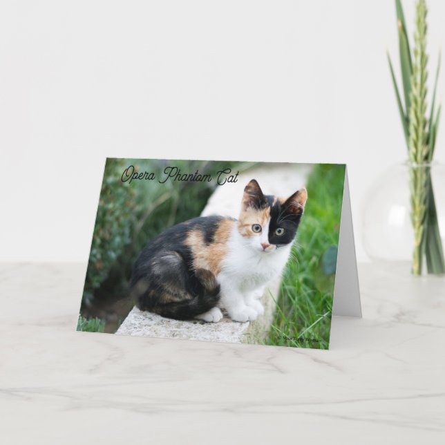 Opera Phantom Cat Anteckningskort (Framsida)
