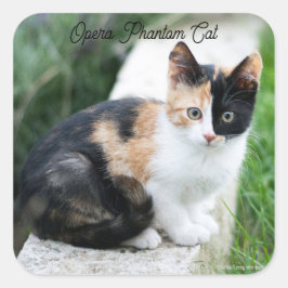 Opera Phantom Cat Fyrkantigt Klistermärke