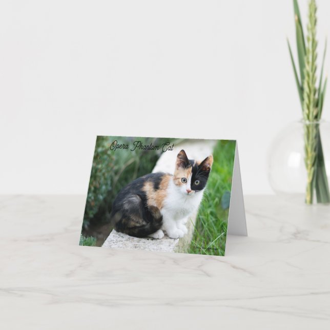 Opera Phantom Cat Inbjudan (Framsida)