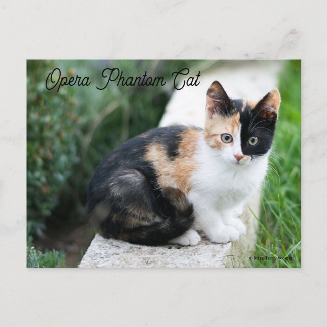 Opera Phantom Cat Inbjudan Vykort (Framsida)