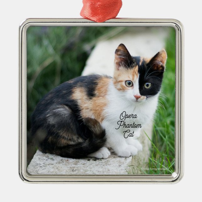 Opera Phantom Cat Julgransprydnad Metall (Framsidan)