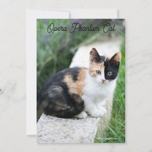 Opera Phantom Cat Julkort