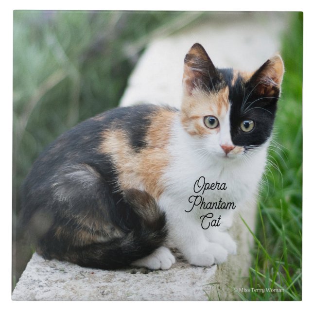 Opera Phantom Cat Kakelplatta (Framsidan)