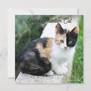 Opera Phantom Cat Kort