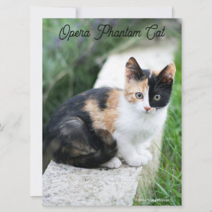Opera Phantom Cat Kort
