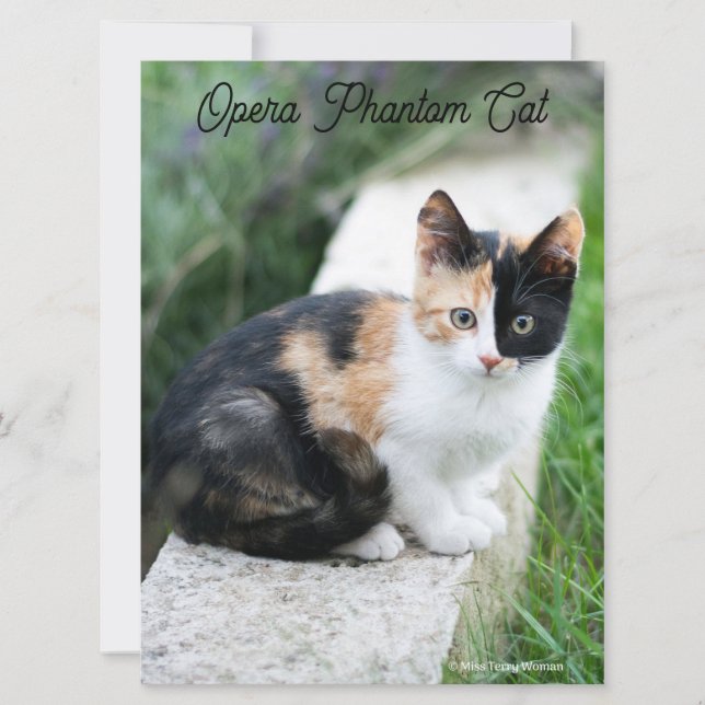 Opera Phantom Cat Kort (Framsida)