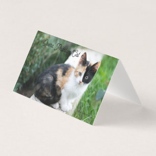 Opera Phantom Cat Kort