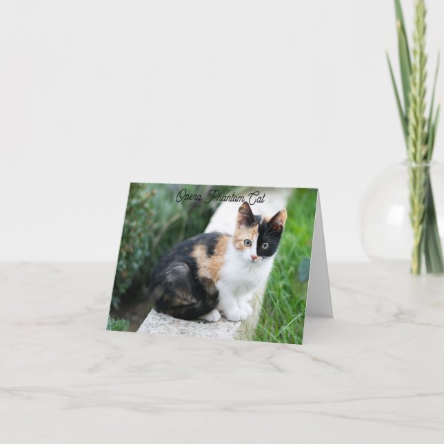 Opera Phantom Cat Kort (Framsida)