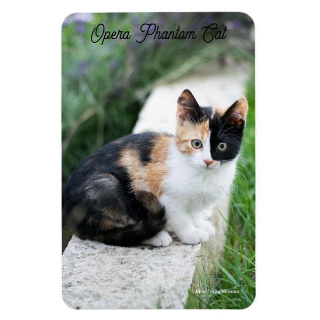 Opera Phantom Cat Magnet (Vertikal)