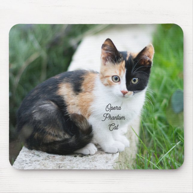 Opera Phantom Cat Musmatta (Framsidan)