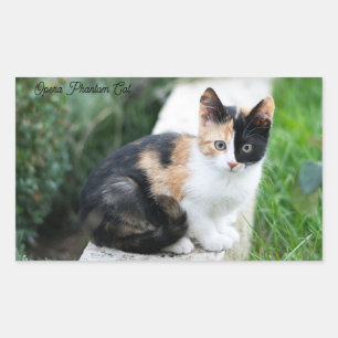 Opera Phantom Cat Rektangulärt Klistermärke