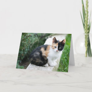 Opera Phantom Cat Tack Kort