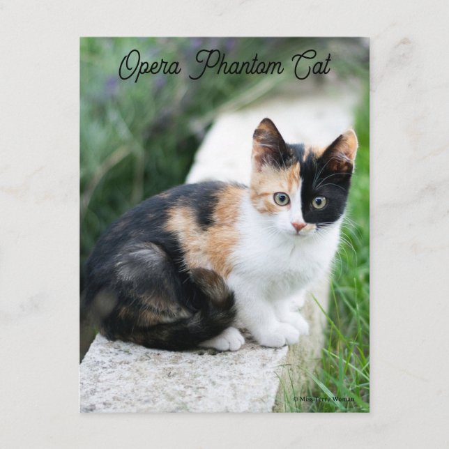 Opera Phantom Cat Tilläggskort (Framsida)