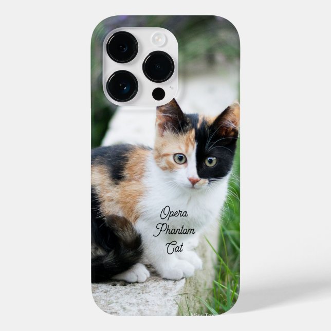 Operans spökkatt (Baksida)