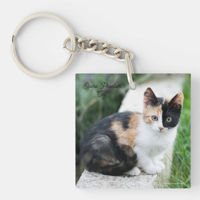 Operans spökkatt (Framsidan)