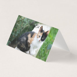 Operans spökkatt kort