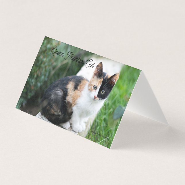 Operans spökkatt kort (Framsida)