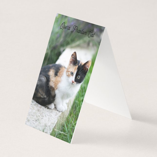 Operans spökkatt kort (Baksida)