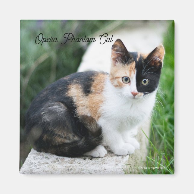 Operans spökkatt magnet (Framsidan)