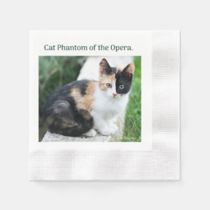 Operans spökkatt pappersservett