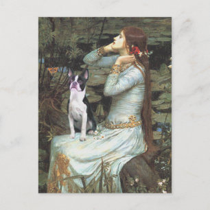Ophelia &- Boston Terrier Vykort