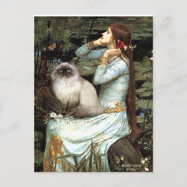 Ophelia-Himalayan-katt 7 Vykort (Framsida)