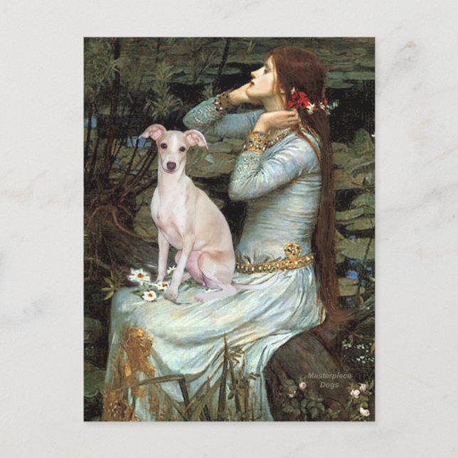 Ophelia - Italiensk mops 5 Vykort (Framsida)