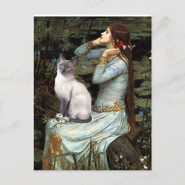 Ophelia - Siameser katt, blåspets Vykort (Framsida)