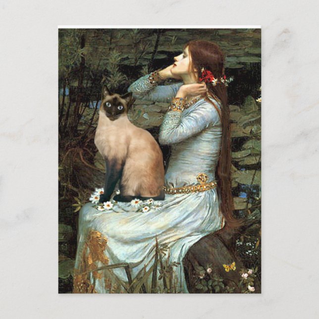 Ophelia - siamesiskt katt vykort (Framsida)